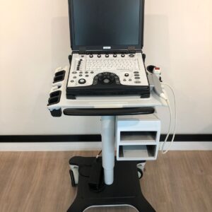 ULTRASSOM PORTÁTIL GE – VIVID E - SETORIAL