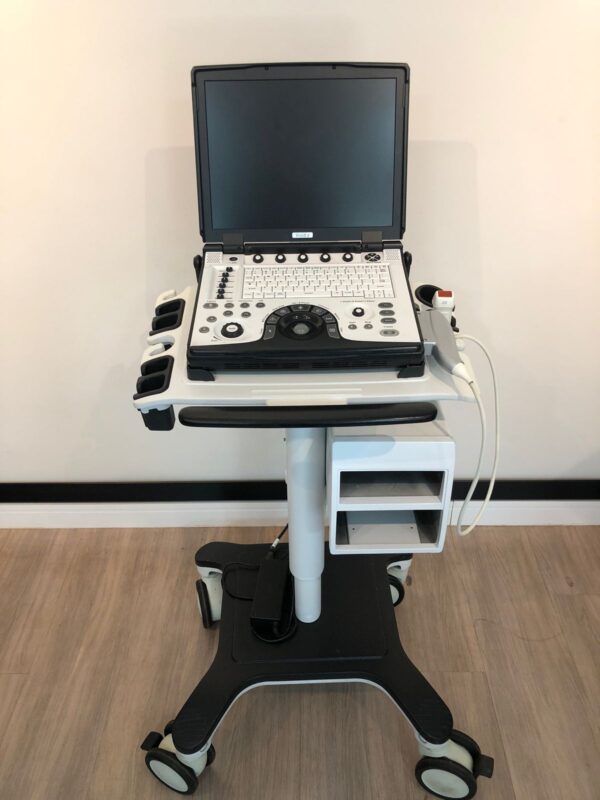 ULTRASSOM PORTÁTIL GE – VIVID E - SETORIAL