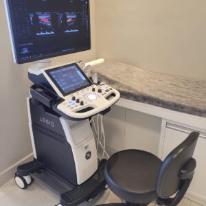 ULTRASSOM GE – LOGIQ P10 SHEAR WAVE - 3D/4D