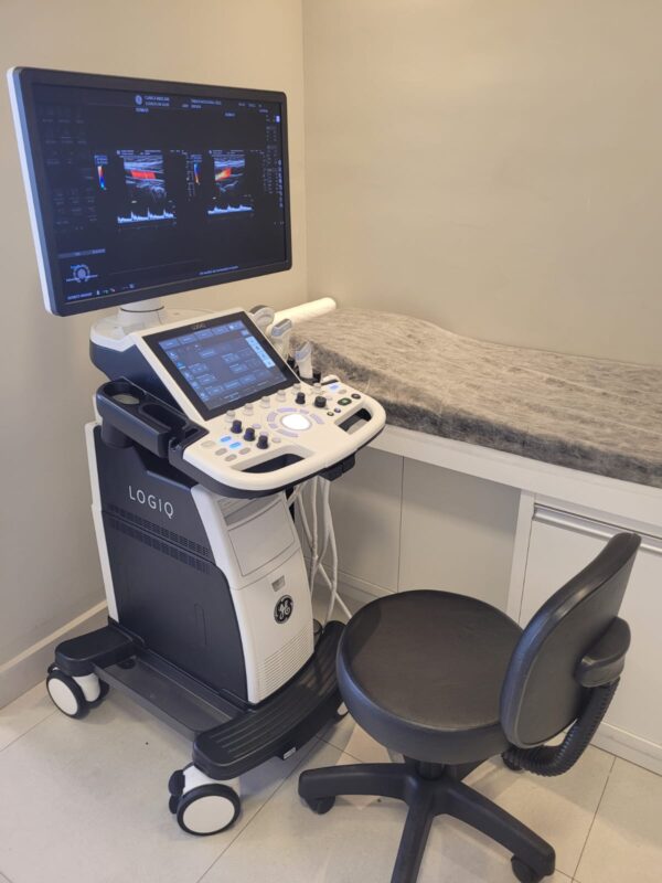 ULTRASSOM GE – LOGIQ P10 SHEAR WAVE - 3D/4D